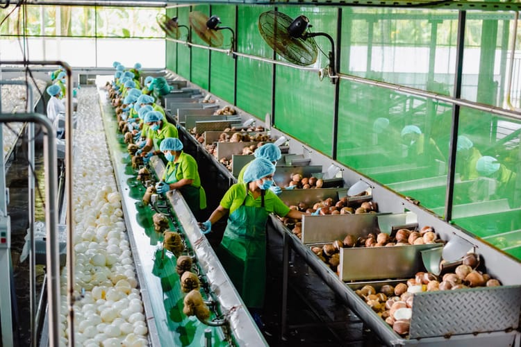 Coconut exports could beat tea this year